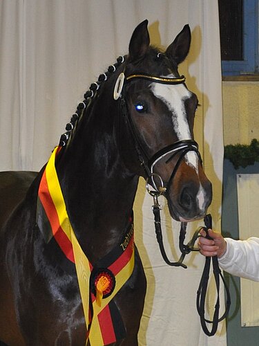 Lord Fernando AB
