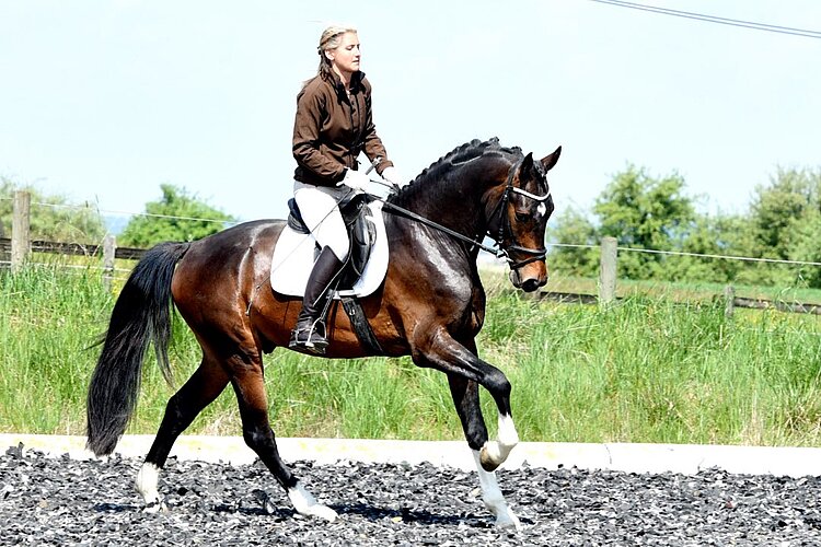 Lord Fidelio AB