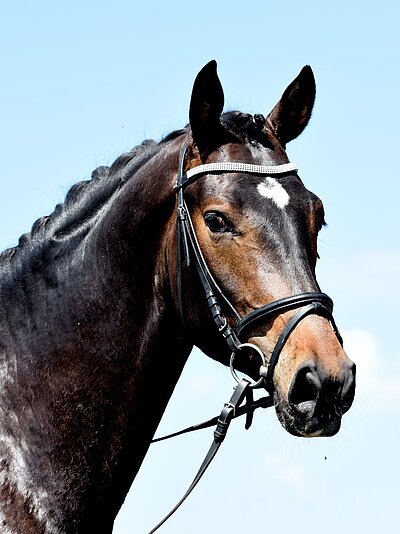 Lord Fidelio AB