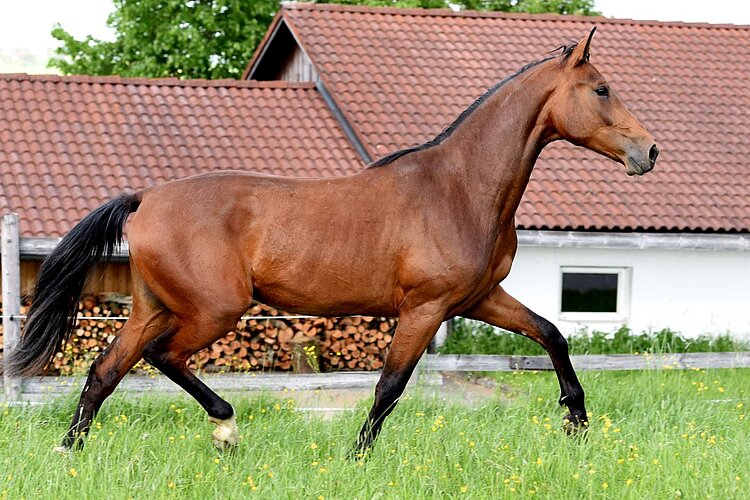 Flavilla AB