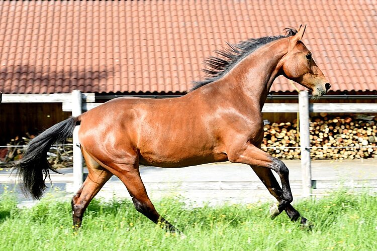 Flavilla AB