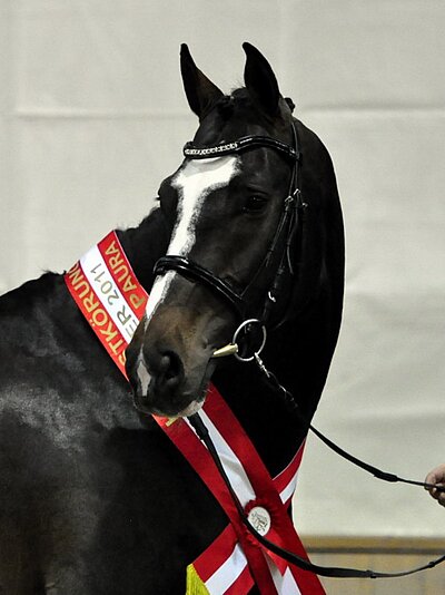 Lord Fernando AB
